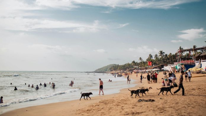 Best Time to Visit Goa, best season to visit Goa